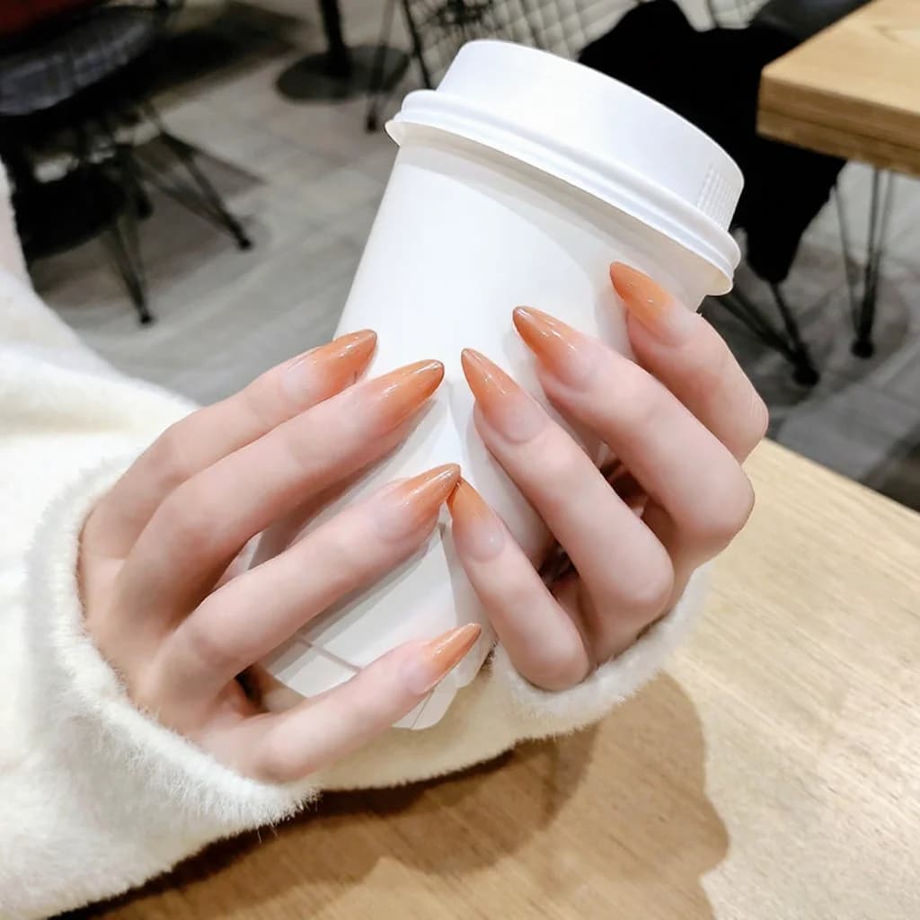 Faux ongles longs à effet dégradé